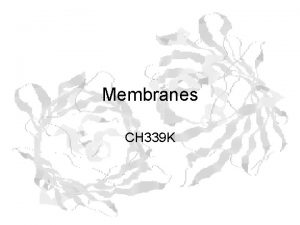 Membranes CH 339 K This has nothing to