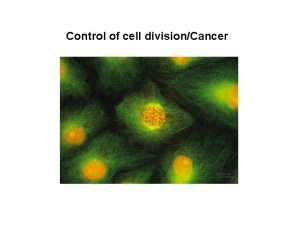 Metastasis process