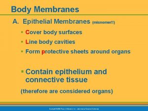 Body Membranes A Epithelial Membranes misnomer Cover body