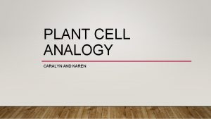 PLANT CELL ANALOGY CARALYN AND KAREN PLANT CELL