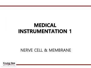 NERVE CELL MEMBRANE Nerve Cell 25 um Up