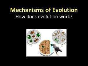 Mechanisms of Evolution How does evolution work What
