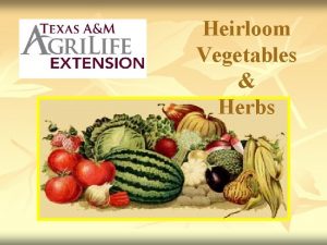 Herbs and heirlooms