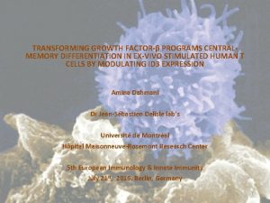 TRANSFORMING GROWTH FACTOR PROGRAMS CENTRALMEMORY DIFFERENTIATION IN EXVIVO