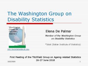 The Washington Group on Disability Statistics Elena De