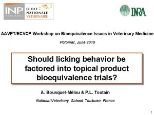 AAVPTECVCP Workshop on Bioequivalence Issues in Veterinary Medicine