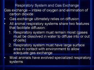 Respiratory System and Gas Exchange Gas exchange intake