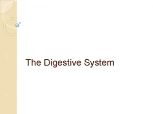 The Digestive System The Digestive System 1 4