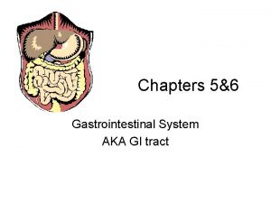 Chapters 56 Gastrointestinal System AKA GI tract Reminder