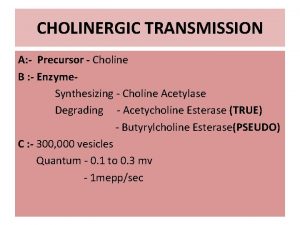 CHOLINERGIC TRANSMISSION A Precursor Choline B Enzyme Synthesizing