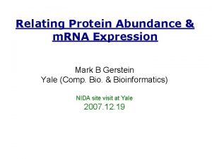 Relating Protein Abundance m RNA Expression Mark B