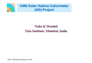 CMS Outer Hadron Calorimeter HO Project Naba K