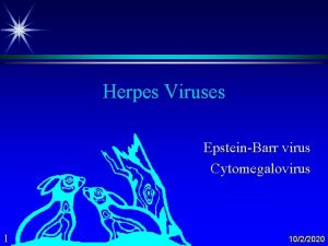 Herpes Viruses EpsteinBarr virus Cytomegalovirus 1 1022020 CMV