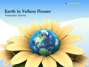 By Presenter Media com Earth in Yellow Flower