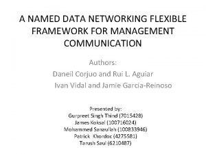 A NAMED DATA NETWORKING FLEXIBLE FRAMEWORK FOR MANAGEMENT