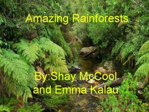 Amazing Rainforests By Shay Mc Cool and Emma