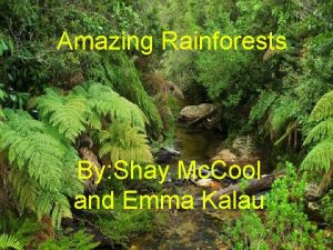 Amazing Rainforests By Shay Mc Cool and Emma Amazing Rainforests By Shay Mc Cool and Emma