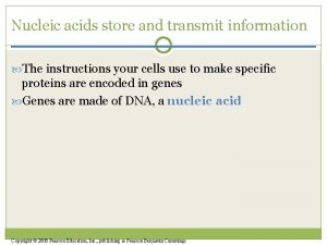 Nucleic acids store and transmit information The instructions