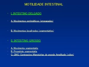 Motilidade do intestino delgado