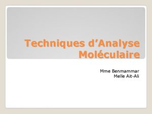 Techniques dAnalyse Molculaire Mme Benmammar Melle AitAli PCR