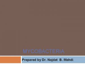 MYCOBACTERIA Prepared by Dr Najdat B Mahdi Mycobacteria