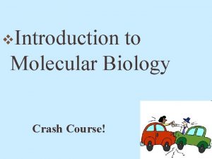 Crash course molecular biology