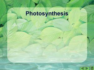 Photosynthesis concept map answer key