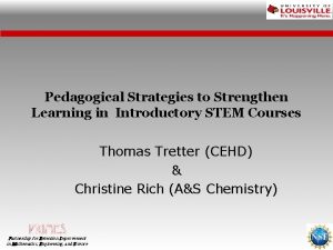 Pedagogical Strategies to Strengthen Learning in Introductory STEM