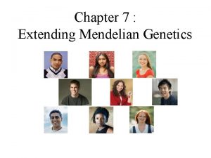 Chapter 7 Extending Mendelian Genetics Key Concepts The