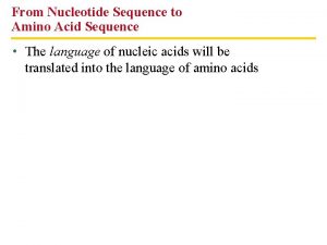 Nucleotide sequence vs amino acid sequence