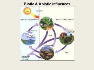 Biotic Abiotic Influences Biotic Abiotic Influences Ecosystem all
