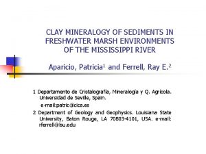 CLAY MINERALOGY OF SEDIMENTS IN FRESHWATER MARSH ENVIRONMENTS