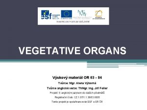 VEGETATIVE ORGANS Vukov materil OR 03 84 Tvrce