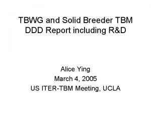 TBWG and Solid Breeder TBM DDD Report including