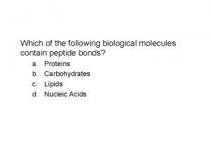 What biological molecules contain peptide bonds
