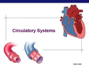 Open circulatory system