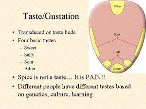 Different types of taste buds
