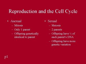 Reproduction and the Cell Cycle Asexual Mitosis Only