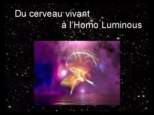 Du cerveau vivant lHomo Luminous Sauts quantiques Outils