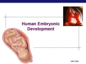 Human Embryonic Development AP Biology 2004 2005 Human