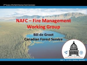 NAFC Fire Management Working Group Bill de Groot