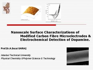 Nanoscale Surface Characterizations of Modified Carbon Fibre Microelectrodes