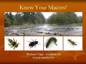 Know Your Macros Michael Clapp nwnature net Revised