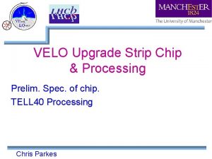 VELO Upgrade Strip Chip Processing Prelim Spec of