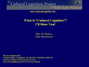 www culturalcognition net What Is Cultural Cognition Ill