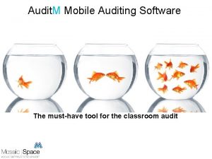 Mobile auditing software