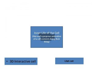 Inner life of a cell harvard