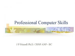 Professional Computer Skills J P Frizzell Ph D