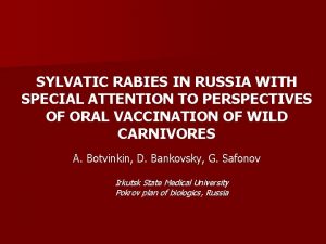 Sylvatic rabies