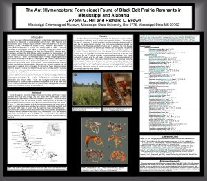 The Ant Hymenoptera Formicidae Fauna of Black Belt